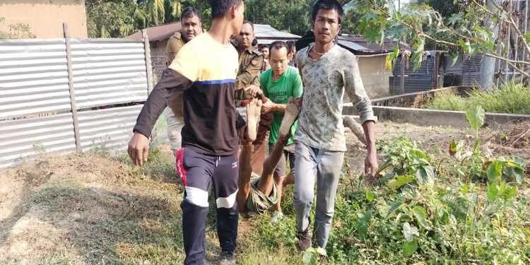 Elderly Man Trampled To Death By Jumbo in  Kokrajhar