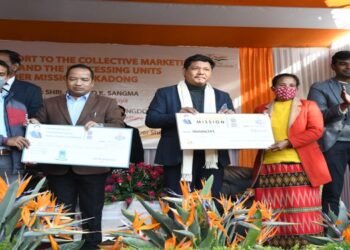 Financial Support  To Lakadong  Turmeric Farmers