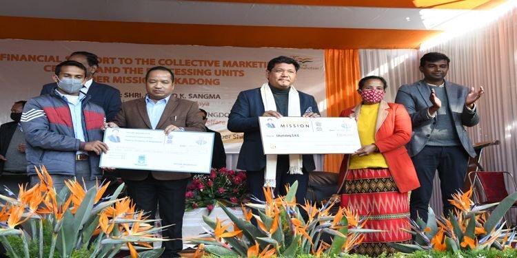 Financial Support  To Lakadong  Turmeric Farmers