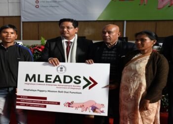 Financial Support given  under Meghalaya Piggery Mission and Milk Mission