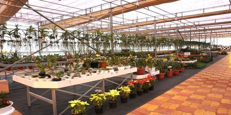 Floriculture Expo cum Sale at the IBSD, Upper Shillong