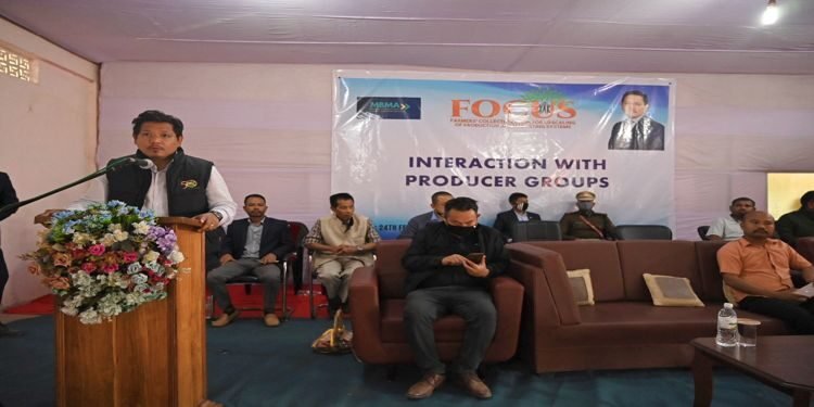 CM Sangma  distributes cheques under FOCUS at Salmanpara