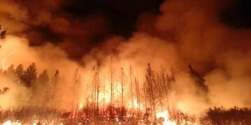 Peoples Biodiversity and Forest Fire App launched
