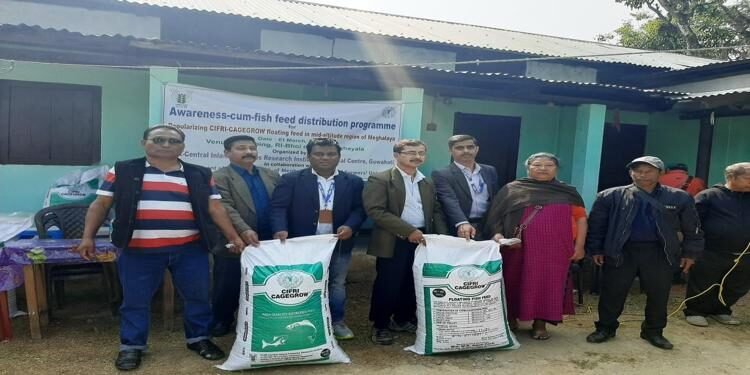 ICAR promotes floating feed in mid-altitude region of Meghalaya