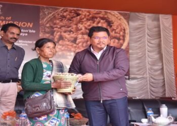Meghalaya launches Rs 121 cr ‘Ginger Mission’ to increase output