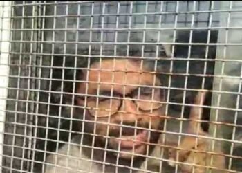 Mevani rearrested for ‘assaulting’ policewoman after getting bail in case over tweet