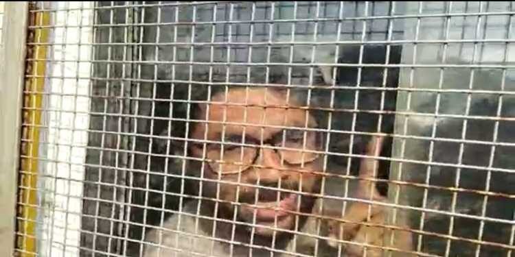 Mevani rearrested for ‘assaulting’ policewoman after getting bail in case over tweet