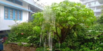 Schools to remain closed till June 20 due to heavy downpour