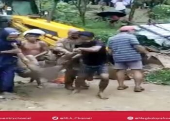 Flood Fury : Family of three buried alive in landslide at Bolsalgre in South Garo Hills