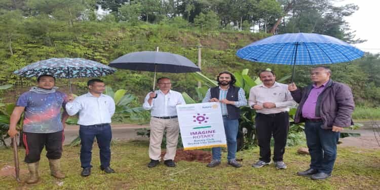 Rotary Orchid City  plants 100 plum saplings to mark new Rotary year