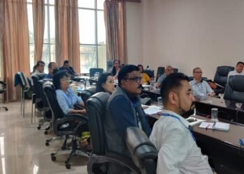 Roundtable to disseminate findings of NE Public Health Cadre