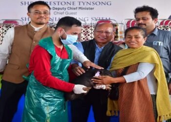 Deputy Chief Minister distributes Piglets at Tynring