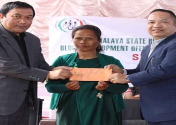 Self Help Groups  Mela  In  Smit Village