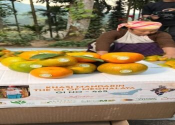 Maiden export shipment of Khasi Mandarin orange to Dubai