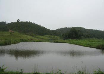 Endangered fish conservation initiative in Meghalaya