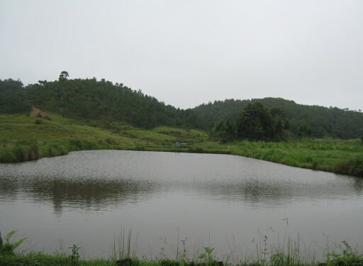 Endangered fish conservation initiative in Meghalaya