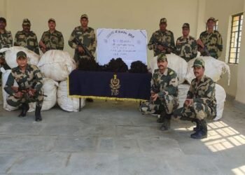BSF seizes 300 kgs of human hair worth 30 lakh