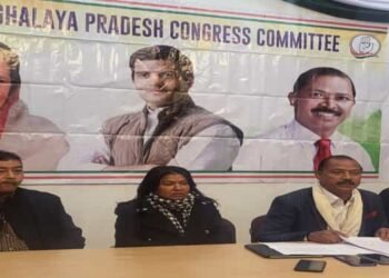 MPCC  President  oblivious to the faults of his own party: BJP
