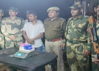 BSF seizes  18, 000 Yaba tablets , Smuggler arrested