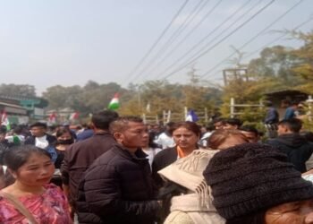 Assembly Poll Results 2023  :  NPP  emerges as the single largest party