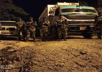 BSF seizes dry  betel nuts worth 11 lakhs in South Garo Hills