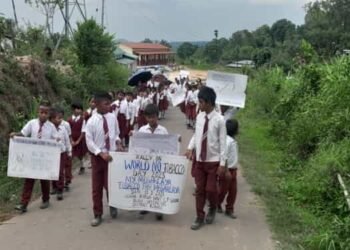 State Tobacco Control Cell Receives Prestigious WHO Award