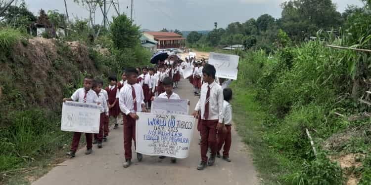 State Tobacco Control Cell Receives Prestigious WHO Award