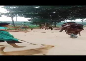 Bangladeshi Border Personnel Intrude into Meghalaya Village