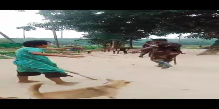 Bangladeshi Border Personnel Intrude into Meghalaya Village