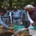 World Environment Day observed at Raj Bhavan