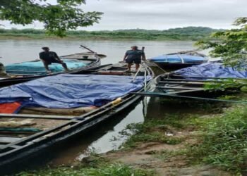 BSF Meghalaya seizes 29,000 kilograms of sugar worth Rs 11  lakhs