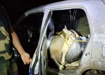 BSF  rescues 2 cattle brutally crammed in Alto cars in EJH