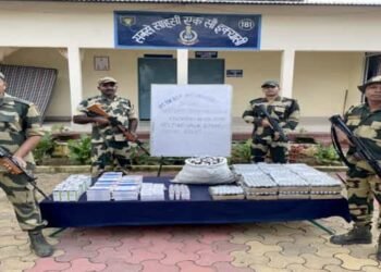 BSF seizes medicines worth 3.74 lakh on Indo -Bangla border