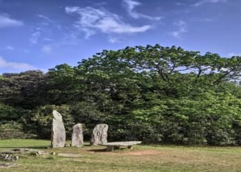 Traditional institutions are playing a great role in environmental conservation:  Minister G. K Reddy