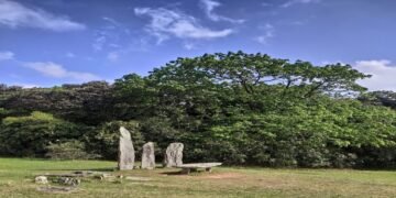 Traditional institutions are playing a great role in environmental conservation: Minister G. K Reddy
