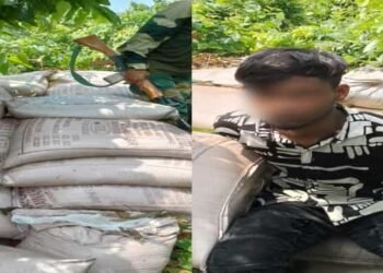 BSF nabs Bangladeshi youth with 5600 kgs of Indian sugar