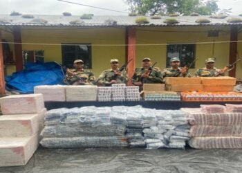 BSF seizes medicines & sarees along Indo -Bangla Border