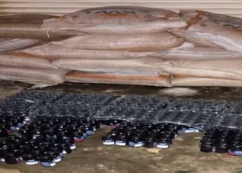 Meghalaya: BSF foils bid to smuggle Phensedyl  to Bangladesh