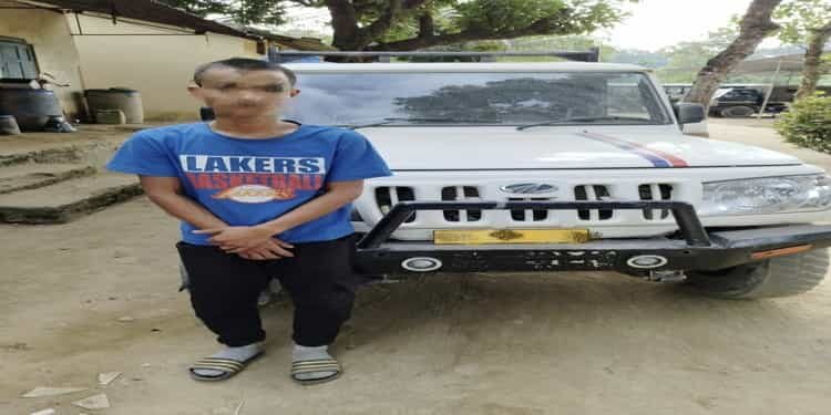 BSF Meghalaya  seizes sugar, buffaloes along Indo -Bangla border.