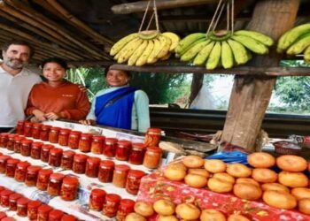 Bharat Jodo Nyay Yatra: Home Minister ‘Stopped’ Interactions at Meghalaya Pvt Varsity, Says Rahul Gandhi