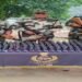 BSF seizes 200 bottles of banned cough syrup along Bangladesh border