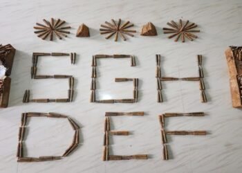 East Garo Hills Police Seize 340 Anti-Aircraft Live Ammunition