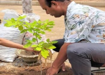 MDC Bernard N Marak takes up an initiative to plant 10,000 trees in Tura
