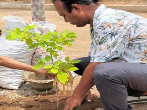 MDC Bernard N Marak takes up an initiative to plant 10,000 trees in Tura