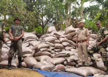 BSF seizes cattle, sugar & cosmetics along Indo-Bangla border