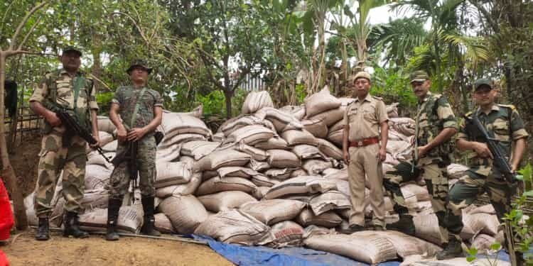 BSF seizes cattle, sugar & cosmetics along Indo-Bangla border