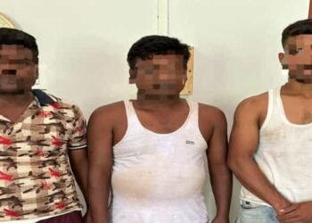 BSF thwarts cattle smuggling attempt , arrests 3