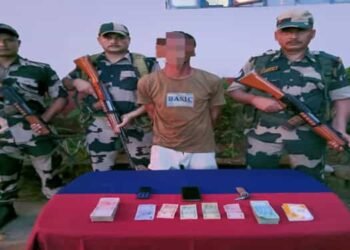 BSF Meghalaya Foils Smuggling Attempts, Arrests Bangladeshi National