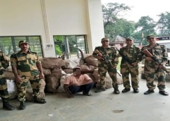 Meghalaya: BSF Foils Smuggling Attempts Along Indo-Bangladesh Border