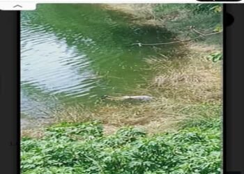 Mystery Surrounds ATM Technician’s Abduction and Murder